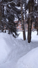 В Андреаполе