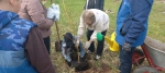 Преображаем Андреаполь
