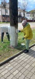 Преображаем Андреаполь
