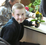 Про огурцы