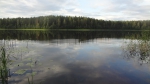 За Андреаполем