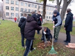 Преображаем Андреаполь