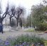 Сегодня в Андреаполе - Андреапольский район