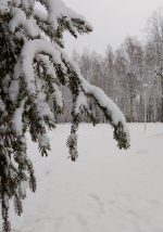 Счастливого Новогодья!