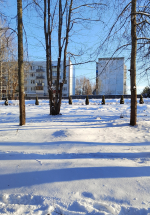 Андреаполь. Воспоминания о снеге
