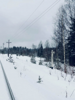 За Андреаполем