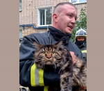 Вместе чады с домочадцами!
