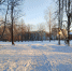 Андреаполь. Городской парк - Андреапольский район