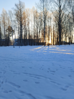 Андреаполь. Местами -20
