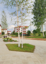 Преображаем Андреаполь