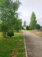 Преображаем Андреаполь