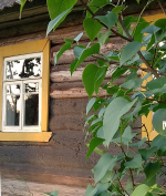 За Андреаполем