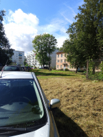 Пешком по Андреаполю