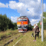 За Андреаполем. 204км - Андреапольский район