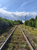За Андреаполем. 204км