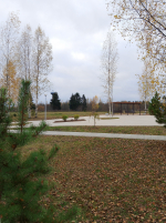 Андреаполь. Комфортная городская среда