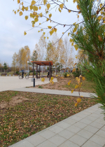 Андреаполь. Комфортная городская среда