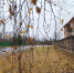 Городской портрет - Андреапольский район
