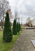 Андреаполь, ул. Советская