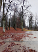 Сегодня в нашем парке (Андреаполь)