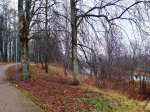 Сегодня в нашем парке (Андреаполь)
