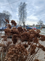 За мгновенье до зимы (Андреаполь)