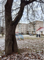 За мгновенье до зимы (Андреаполь)