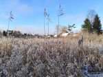 За городом