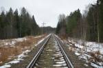 За Андреаполем