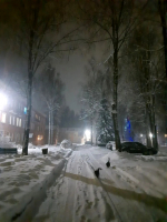 Андреаполь. Предновогодье