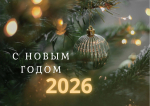 С наступающим Новым годом, друзья!