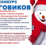 Отправь снеговика на конкурс! - Андреапольский район