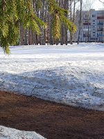 В городском парке (Андреаполь)